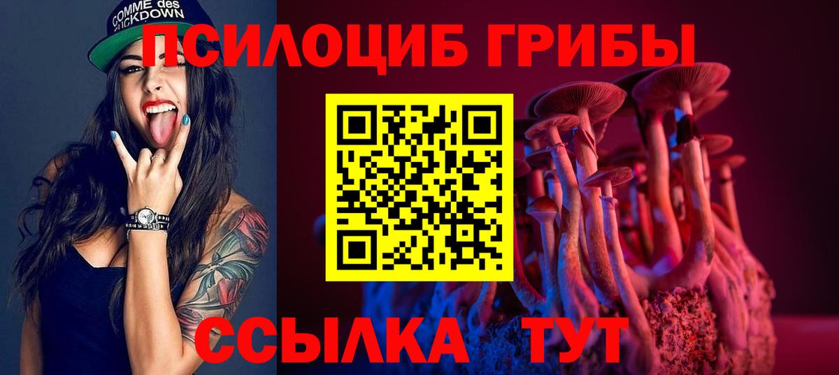 Галлюциногенные грибы прущие грибы  Вход с VPN  наркота  Коряжма 