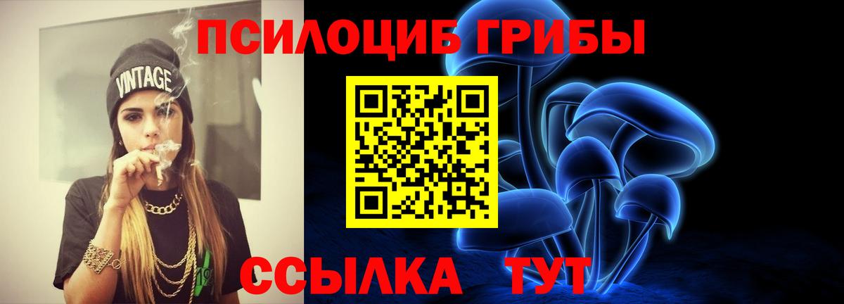 Псилоцибиновые грибы MAGIC MUSHROOMS Коряжма